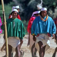 Pueblo indígena: Rarámuri