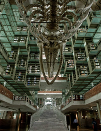 Biblioteca Vasconcelos